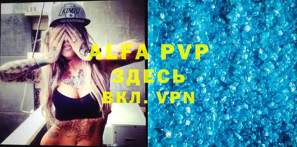 молекула духа Новозыбков