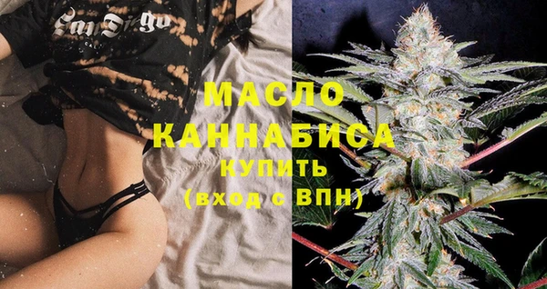 молекула духа Новозыбков