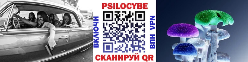 Псилоцибиновые грибы мицелий  Купить где  Омск 